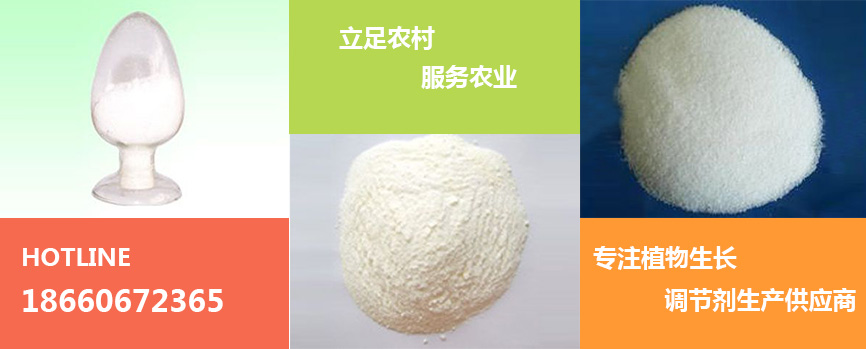 |开奖结果开奖历史记录飞艇168